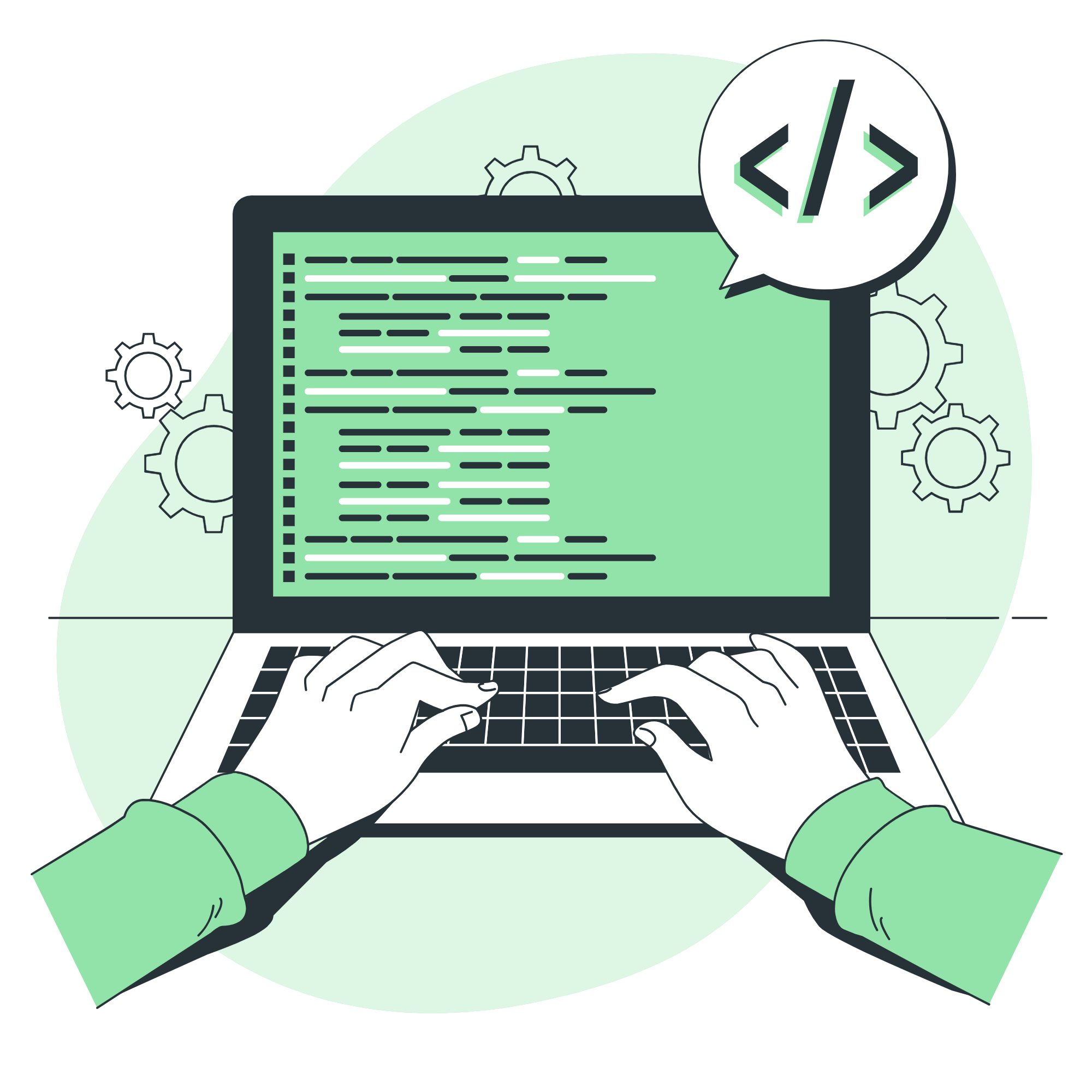 Web разработчик